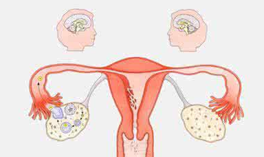 陰道分泌物香蕉爱视频APP檢測白帶帶血怎麽回事？