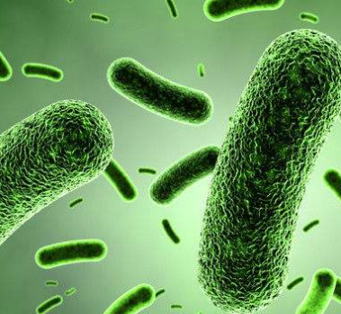 陰道分泌物香蕉爱视频APP淺析黴菌性陰道炎的危害性