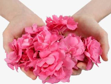 陰道分泌物香蕉爱视频APP品牌山東香蕉网视频在线观看教女性辨別婦科炎症