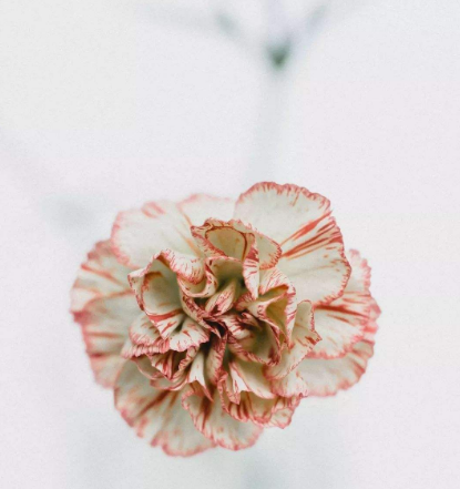 白帶常規香蕉爱视频APP建議改善陰道炎