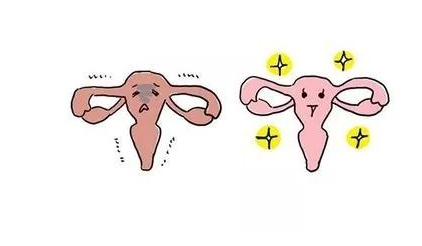 白帶香蕉爱视频APP廠家分析女性陰道幹澀的緣由