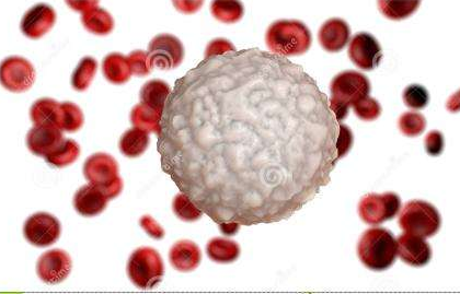 白帶香蕉爱视频APP生產廠家提醒白帶常規檢查白細胞