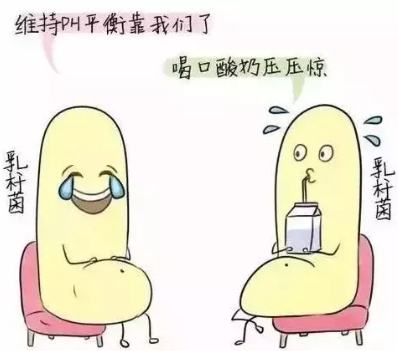 陰道分泌物香蕉成人A片视频診斷陰道微生態狀態的常用方法