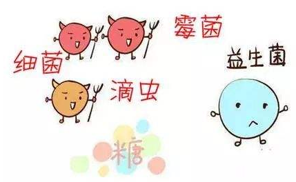 全自動陰道分泌物香蕉爱视频APP廠家解析引起陰道炎的根本原因