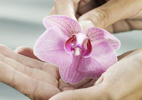 婦科陰道炎香蕉成人A片视频廠家闡述黴菌性陰道炎危害