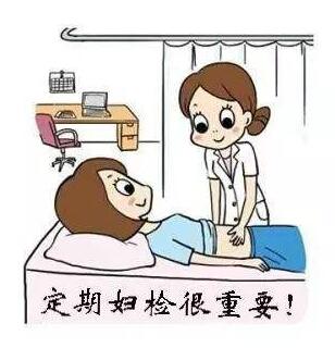 全自動白帶香蕉爱视频APP提醒白帶常規檢查常見注意事項及檢測結果顯示解析