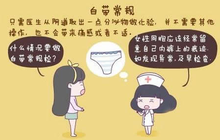 香蕉网视频在线观看GK-Y全自動陰道分泌物香蕉爱视频APP廠家科普“白帶常規”查看報告！