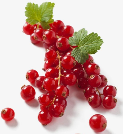 婦科六聯檢全自動儀器廠家香蕉网视频在线观看助你消炎排毒，遠離婦科病