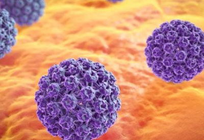 HPV病毒是怎麽感染的 HPV病毒是怎麽感染的