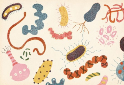 婦科菌群失調是如何引起的 婦科菌群失調是如何引起的