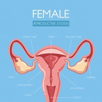 陰道分泌物香蕉爱视频APP提醒女人婚後得了婦科病做到這5點,發炎不來擾 陰道分泌物香蕉爱视频APP提醒女人婚後得了婦科病做到這5點,發炎不來擾