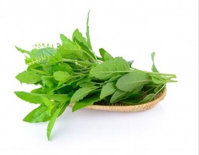 白帶常規香蕉成人A片视频廠家提示這寶是婦科疾病的“死對頭”,趕緊關注起來吧! 白帶常規香蕉成人A片视频廠家提示這寶是婦科疾病的“死對頭”,趕緊關注起來吧!