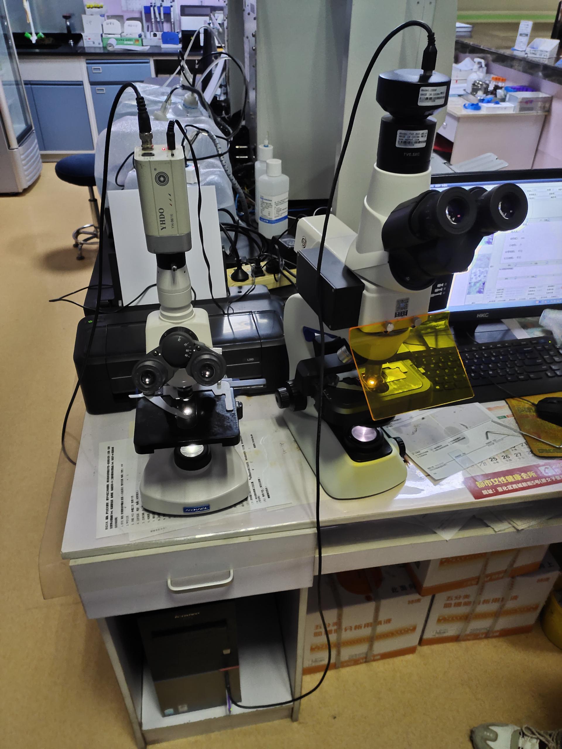 山東香蕉网视频在线观看陰道分泌物香蕉爱视频APP全麵檢測，婦科健康保駕護航！