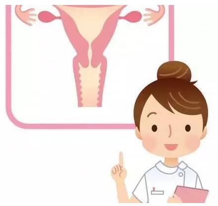 山東香蕉网视频在线观看gk全主動陰道分泌物香蕉爱视频APP器設備憑仗自身技能贏得客戶信賴