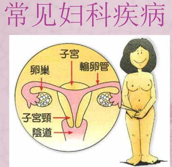 醫院全自動白帶香蕉成人A片视频檢測女人婦科3種症狀，謹防子宮長瘤！