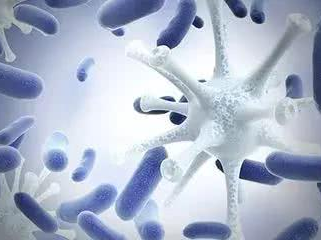 【婦科白帶香蕉成人A片视频品牌】：女性患黴菌性陰道炎的緣由！